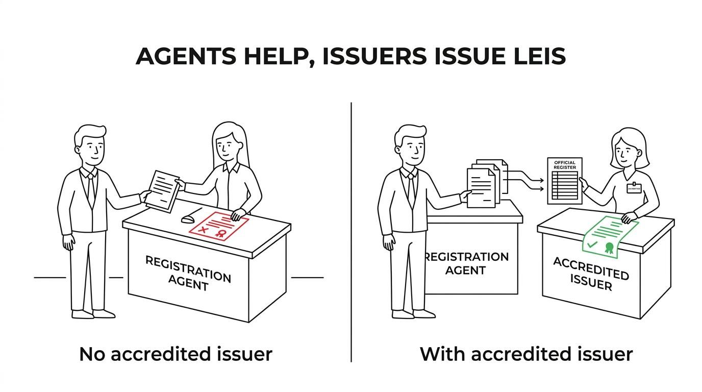 Side-by-side comparison of an LEI registration agent and a GLEIF-accredited issuer, showing who handles ordering, verification, issuance, and renewal responsibility.