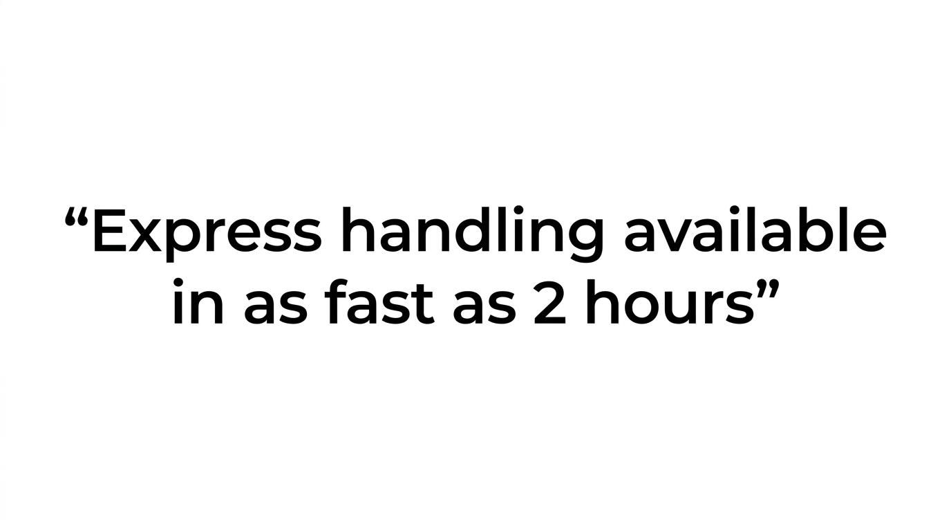 A highlighted quote stating that LEI applications are processed in 1 to 48 hours, with express delivery available in as fast as 2 hours.